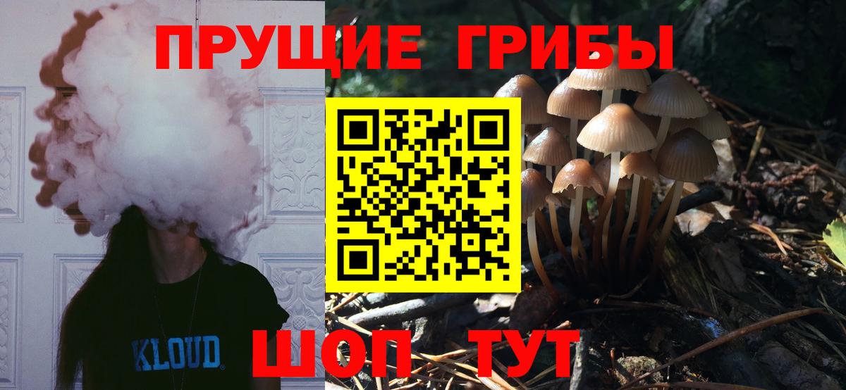 Галлюциногенные грибы прущие грибы  Вход с VPN  Черняховск 